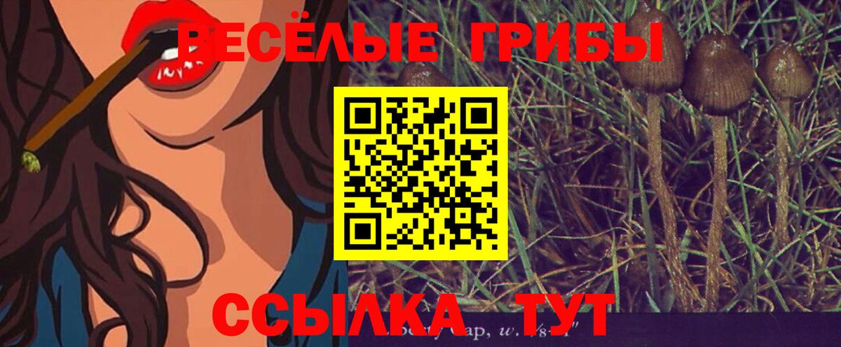 Галлюциногенные грибы Psilocybine cubensis Усинск